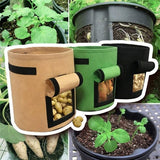 Eco-GROW Potato Bag Grow Bags