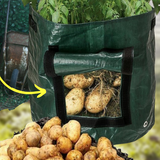 Eco-GROW Potato Bag Green / S Grow Bags