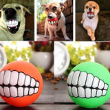 Pet Dog Squeak Toy Random Colors